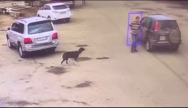 Застрелил собаку: полиция возбудила уголовное дело о жестоком обращении с животными