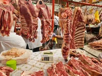 В Акмолинской области создают мясной кластер на 37 тысяч голов скота