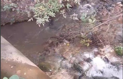 Фекалии в центре Алматы: алматинец заснял слив канализации в реку