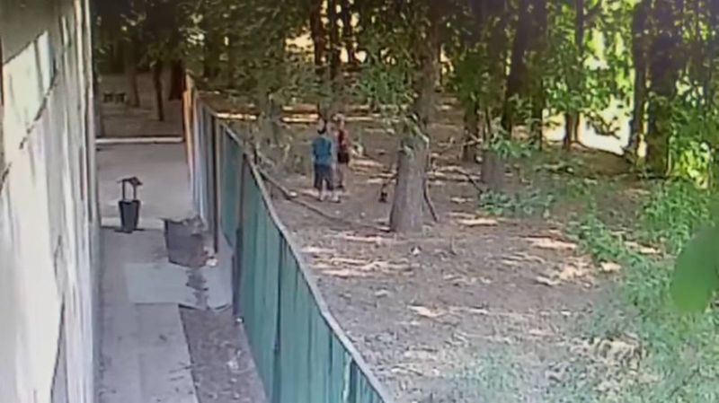 Хозяин собак, напавших на 10-летнего мальчика, показал видео с камер