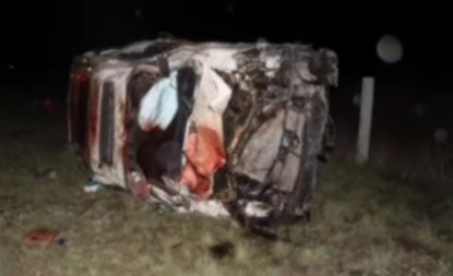 Два человека погибли в ДТП с участием лошади на трассе Павлодар – Кызылорда