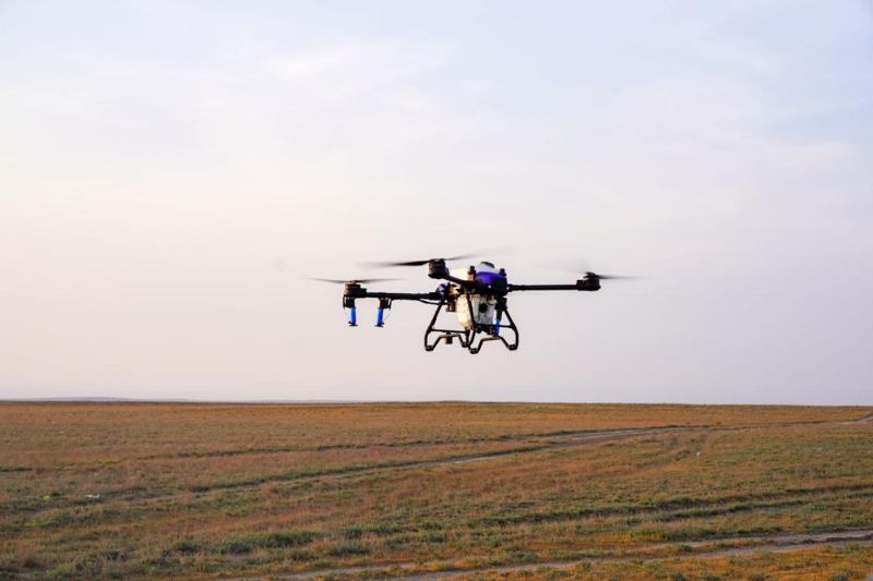 Минсельхоз спрогнозировал распространение саранчи на территории РК