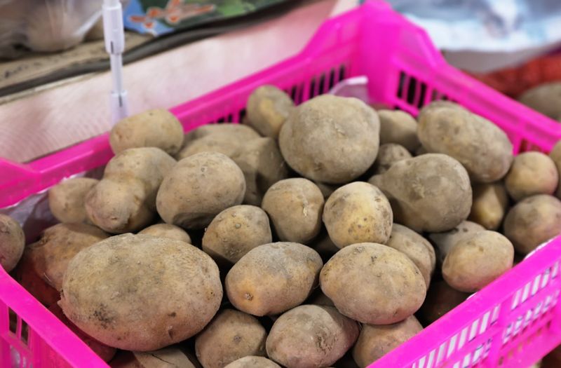 130 за кг: более 80 тонн картофеля продали по низким ценам в Жамбылской области