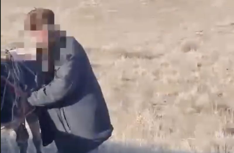 Чабан с 700 овцами потерялся в степи: хозяева думали, что он их украл