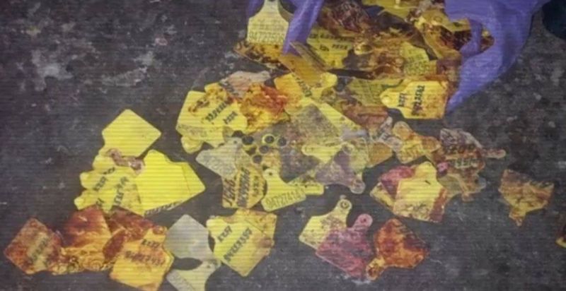 Подпольные мясные цеха обнаружили в нескольких городах Казахстана