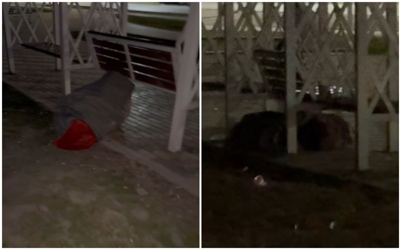 Полиция Алматы задержала мужчину, спрятавшегося в мешке под качелями