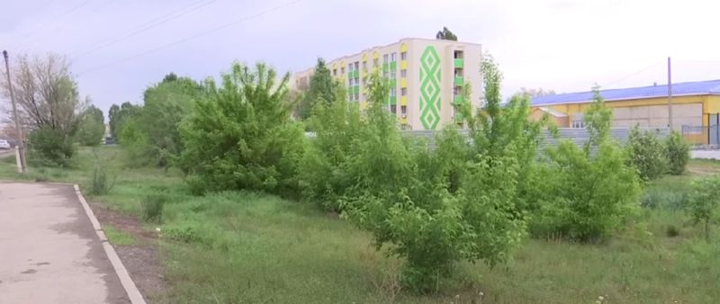 Жители Актобе возмущены вырубкой деревьев в сквере для постройки СТО