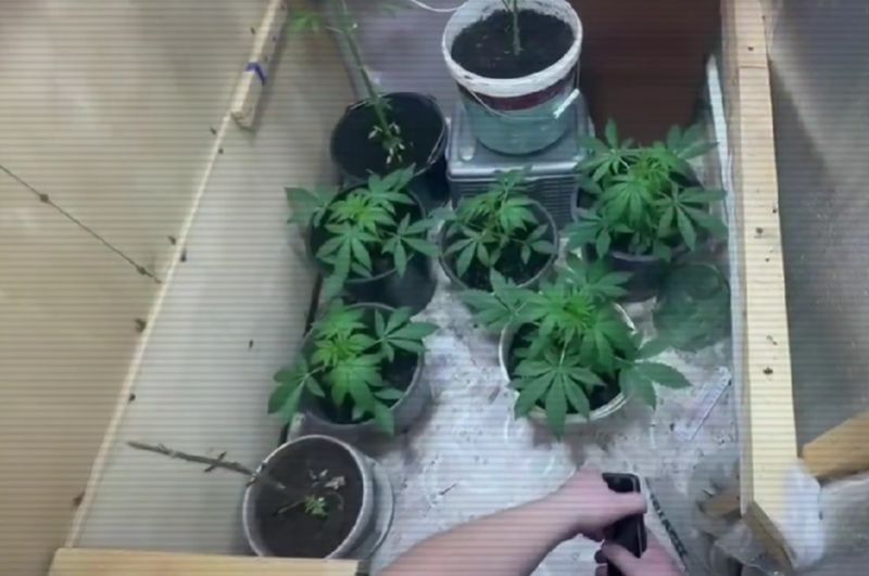 17 нарколабораторий ликвидировали в РК в феврале