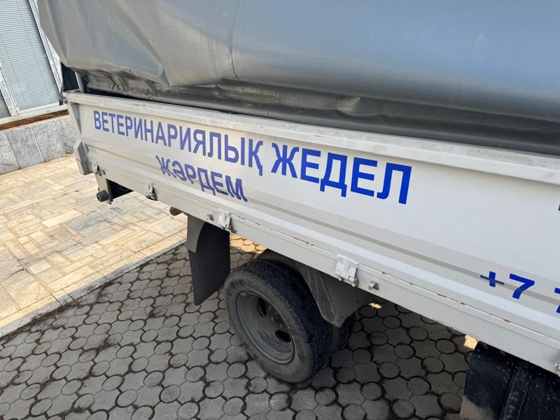 Скорая помощь для животных появилась в Алматы