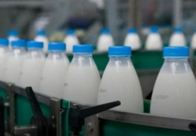 В СКО арестовали главу сельскохозяйственного кооператива