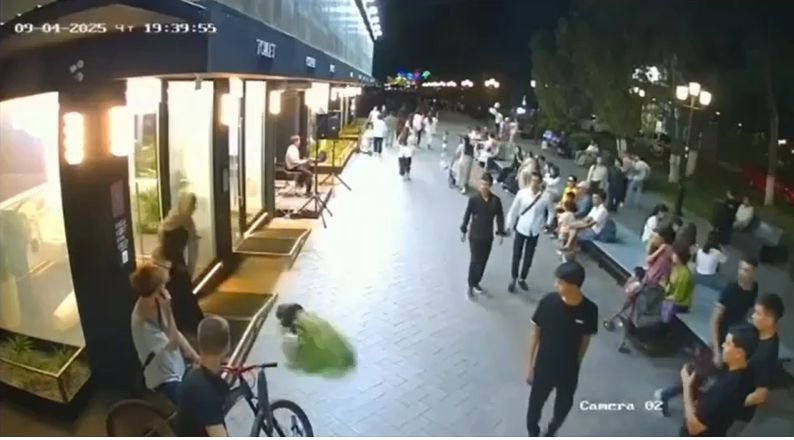 Горшки летели со страшной силой: женщина разгромила туалет в Шымкенте