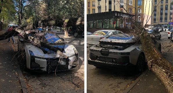 Дерево упало на дорогой эклектрокар в Алматы