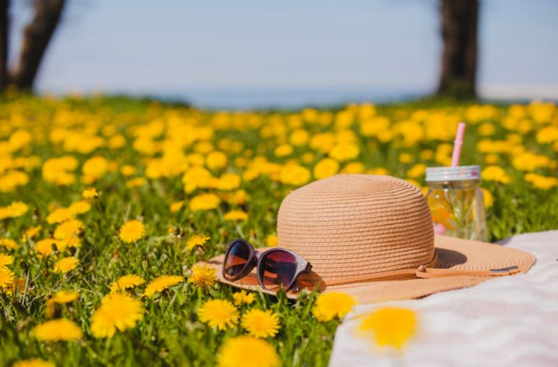 Жара ожидается в южных регионах Казахстана