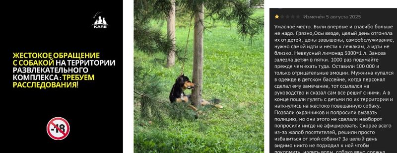 "Мы не рассчитали": базу отдыха в Алматы обвинили в смерти собаки