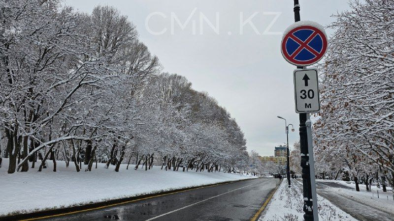 Казахстан накроют морозы и снег: синоптики рассказали о погоде на ближайшие дни