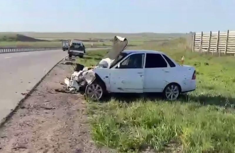 Стадо сайгаков спровоцировало ДТП на трассе в Карагандинской области