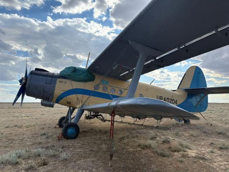 Почти 300 человек координируют работу по ликвидации саранчи в Кызылординской области