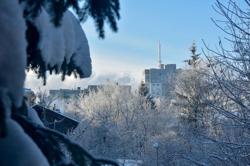 Вслед за снегопадом в Алматы прогнозируют сильный мороз