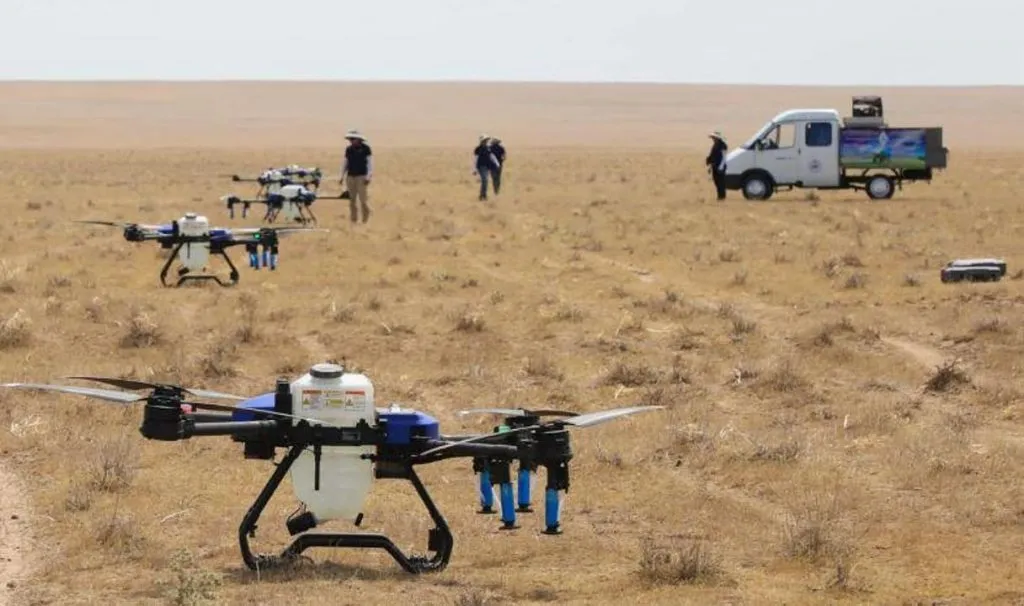 Обработка от саранчи