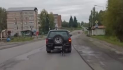 Мужчина тащил собаку за машиной в ВКО