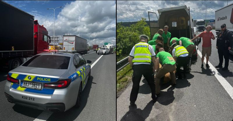 Виски отказался лететь в Казахстан и устроил скачки на трассе в Чехии