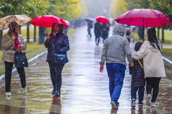 Дождь, снег и усиление ветра: какой будет погода 20 октября