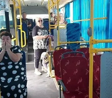 Собака в автобусе