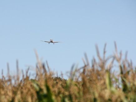 Вынужденно севший в степи АН-2 искали восемь часов в Кызылординской области