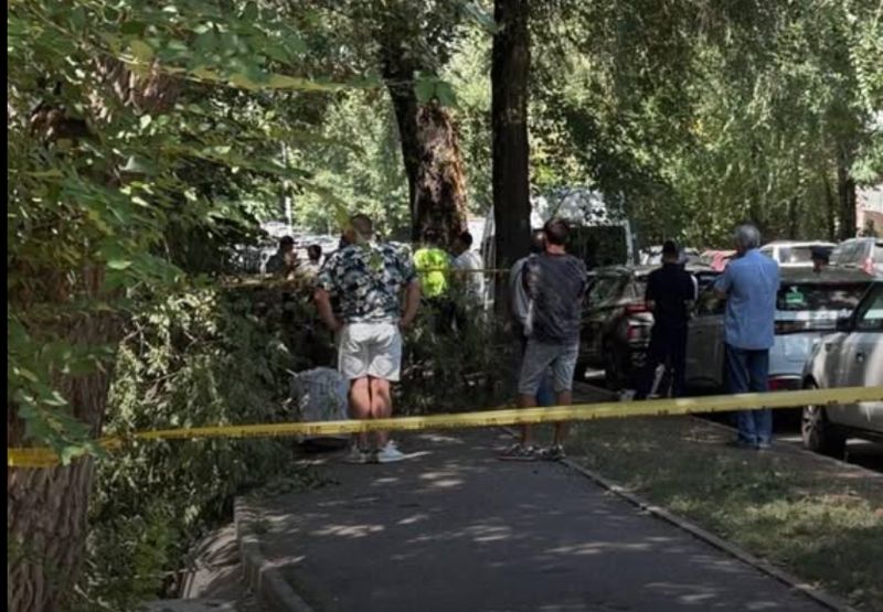 У нее осталась четырехлетняя дочь: что известно о девушке, погибшей из-за упавшей ветки