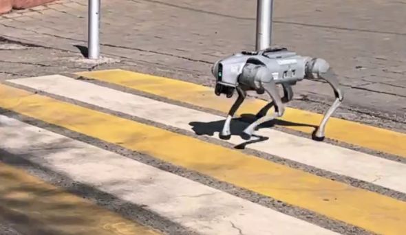 Робот-собака прогулялся по улицам Алматы
