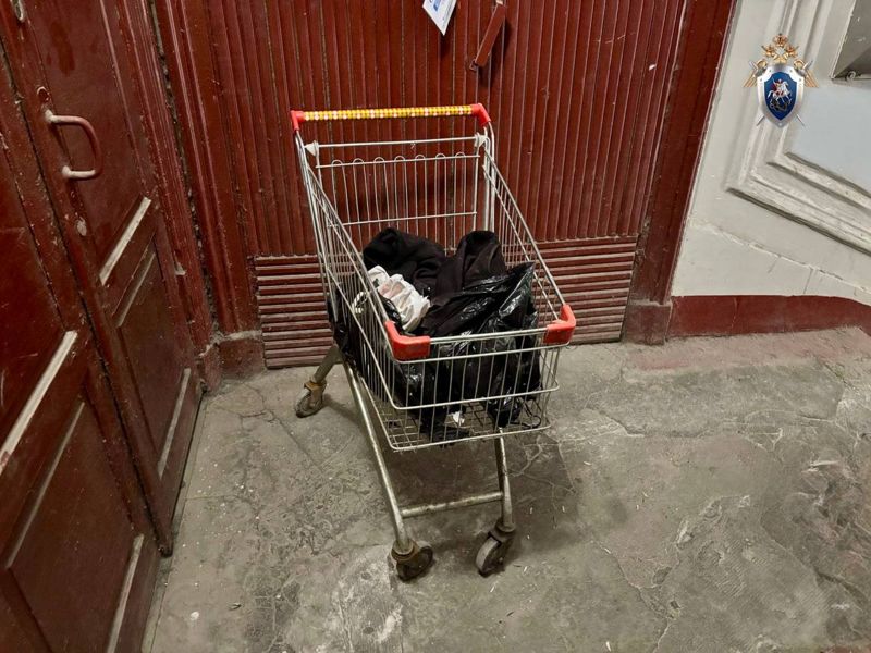 Пенсионер расчленил старушку и сложил ее в продуктовую тележку в России