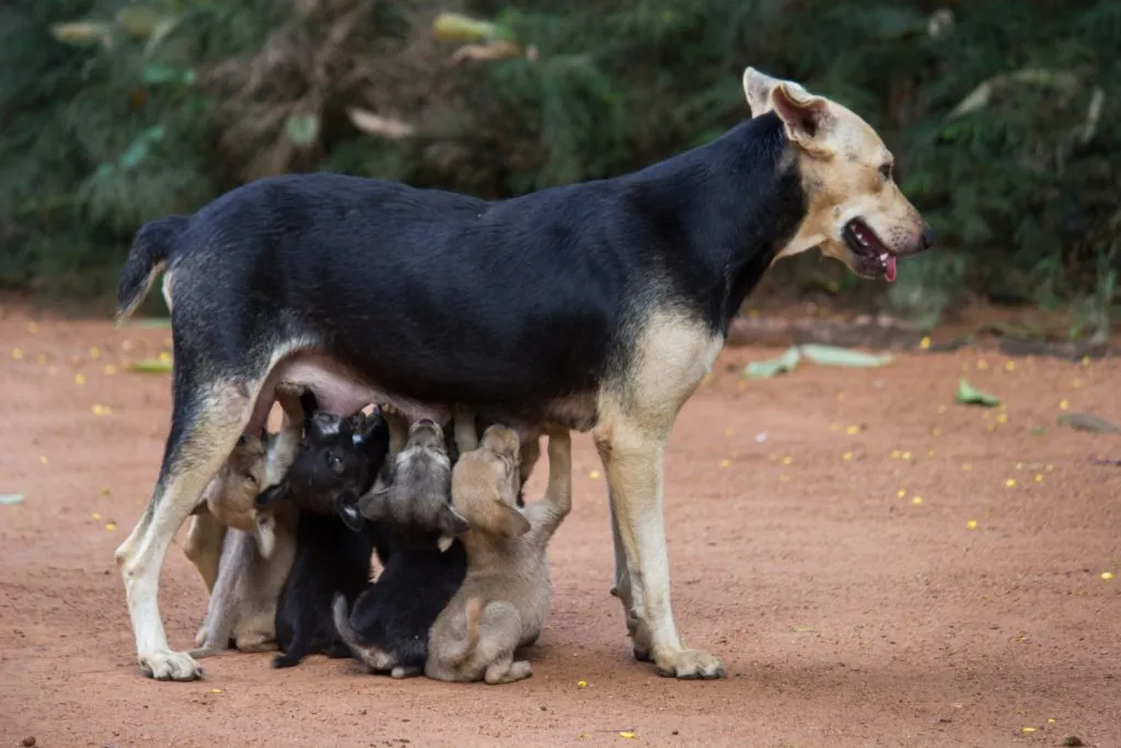 Это изображение имеет пустой атрибут alt; его имя файла - 1745-1024x683.jpg