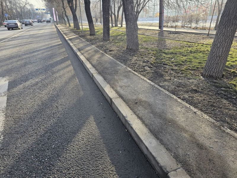 Тротуары, позволяющие качественно убирать снег, появятся в Бостандыкском районе Алматы