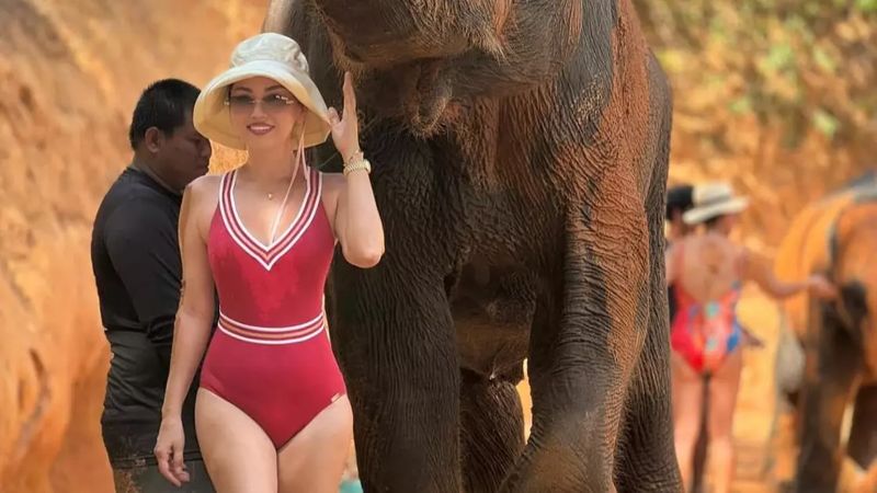 Баян Алагузова показала семейный отдых со слонами и детскими эмоциями
