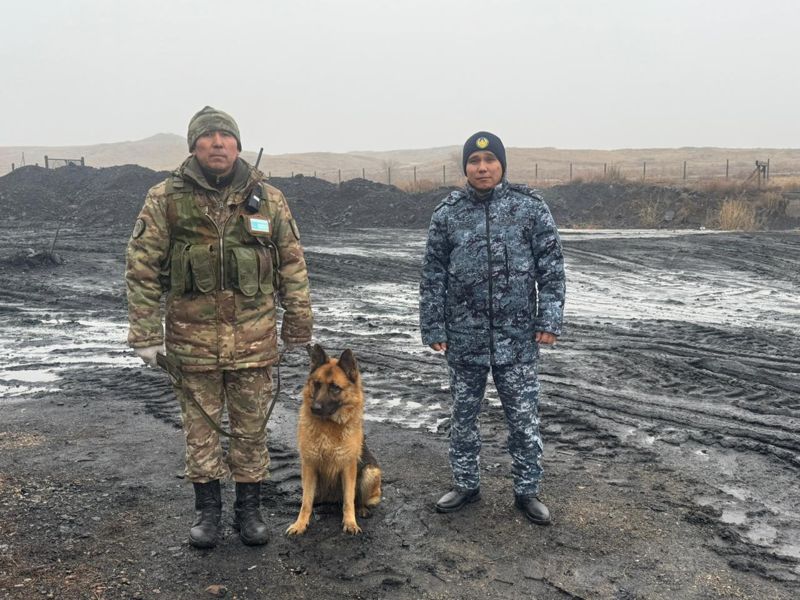 Гвардеец предотвратил пронос восьми телефонов в исправительное учреждение