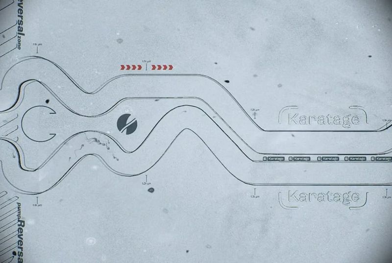 Гонка сперматозоидов: первые в мире соревнования половых клеток прошли в США