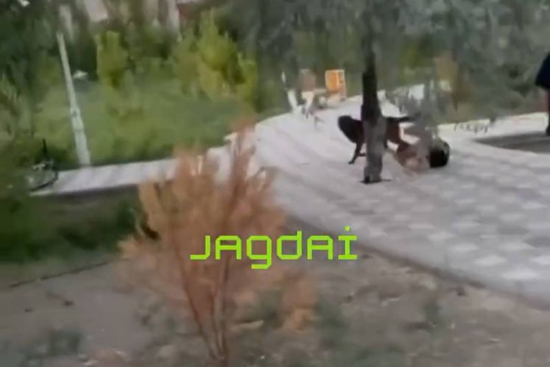 Собака напала на ребёнка в Кызылорде: хозяин сбежал