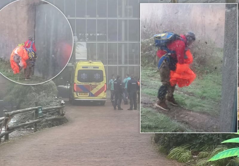 В гости к обезьянам приземлился заплутавший парашютист в Нидерландах
