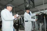 Ветеринаров в Казахстане ждут рост стипендий и строгий отбор