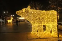 Новый год в городе: куда пойти с 1 по 4 января в Астане и Алматы