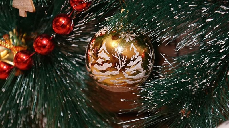 Надоел ваш Новый год: житель Темиртау сжёг ёлку в подъезде