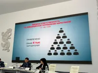 Что делать, если увидели 