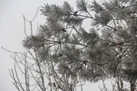 Один из регионов Казахстана накроют морозы до - 45 градусов