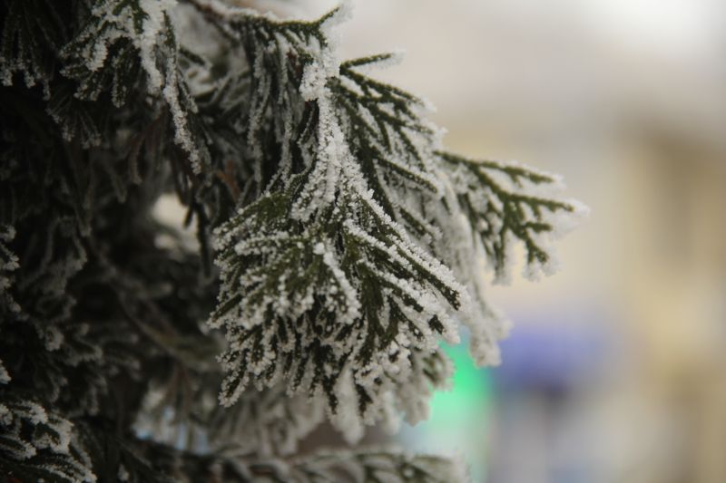 Морозы до −27 в Астане и весеннее тепло в Алматы: прогноз погоды на три дня