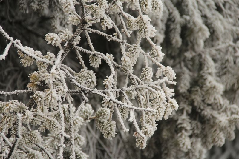 Қазақстанның бір өңірінде аяз -45 градусқа дейін күшейеді