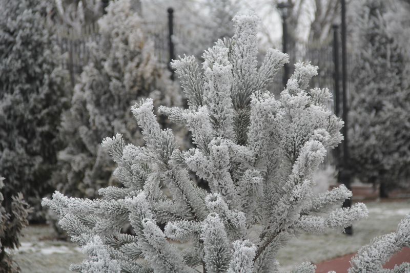 Мороз опять идёт на север: казахстанцев предупредили о низких температурах