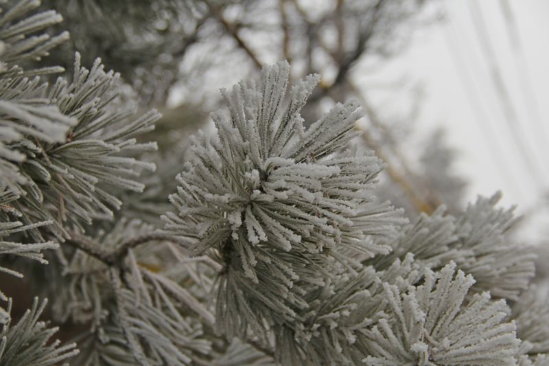 Казахстан накроют лютые морозы до −30