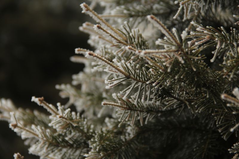 Метели и снега: капризы погоды ожидают казахстанцев в выходные