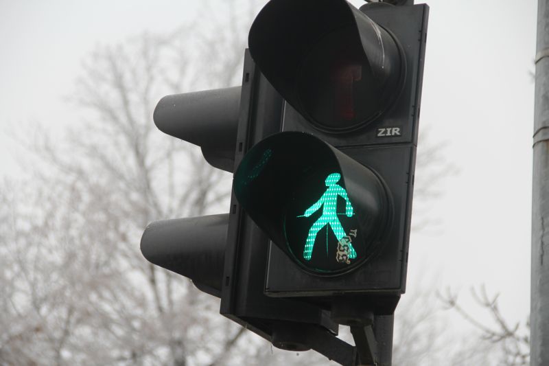 Новые поправки в КоАП вступили в силу: что ждёт водителей и пешеходов?