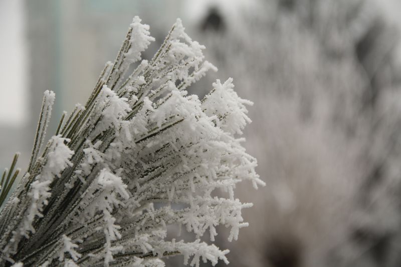 До -37 градусов похолодает в нескольких регионах Казахстана